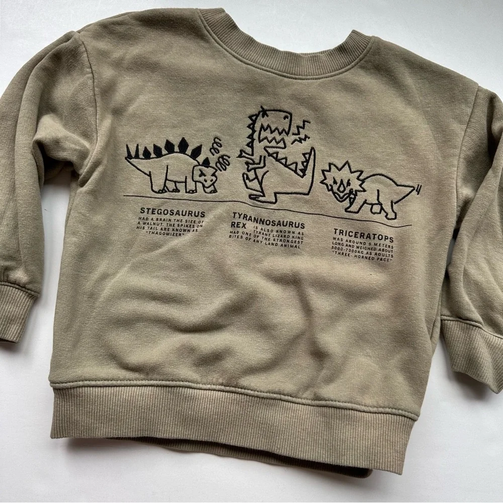 H&M Dino Outfit